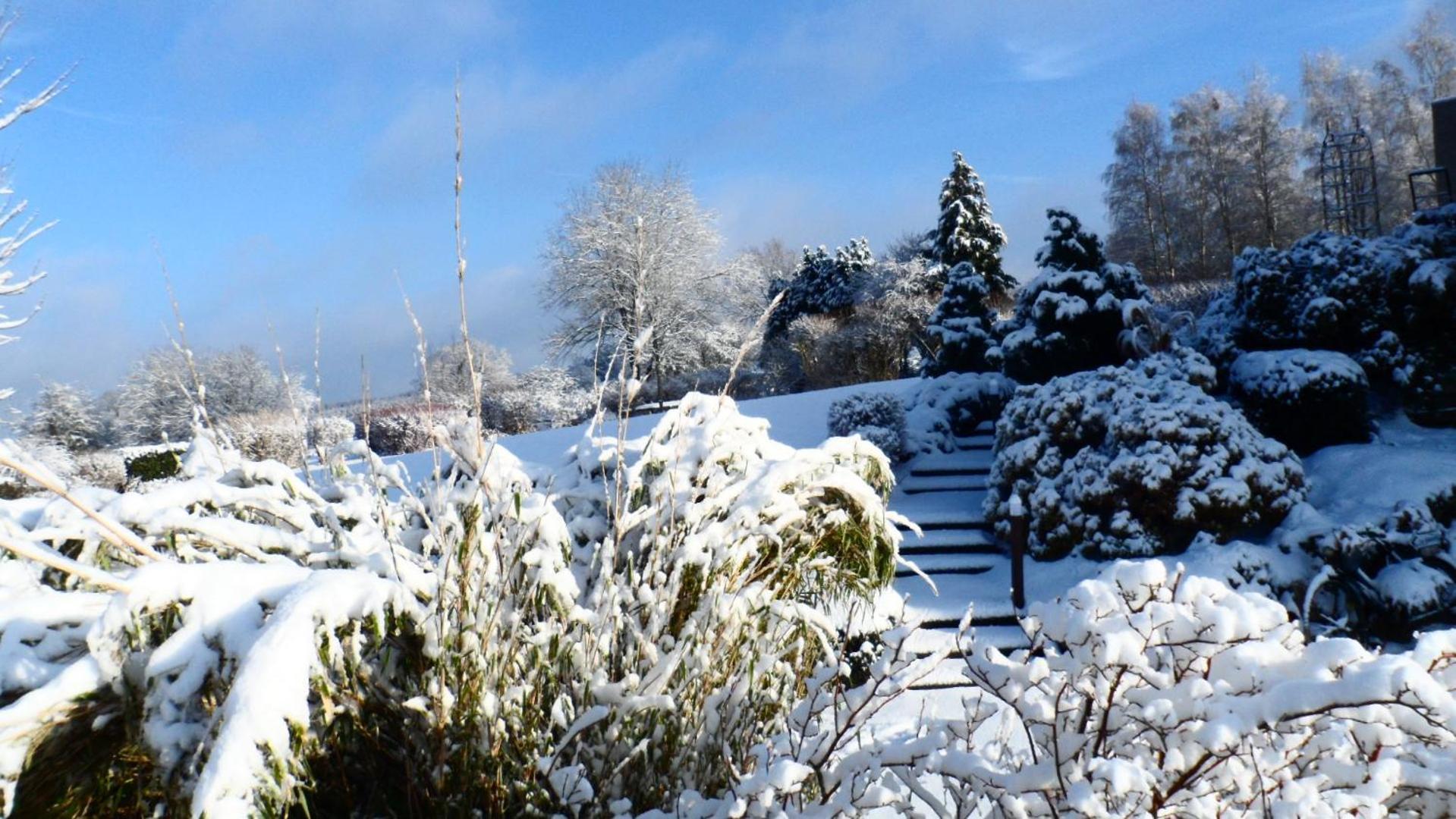 Le Renard'Or Bed & Breakfast Trois-Ponts Dış mekan fotoğraf
