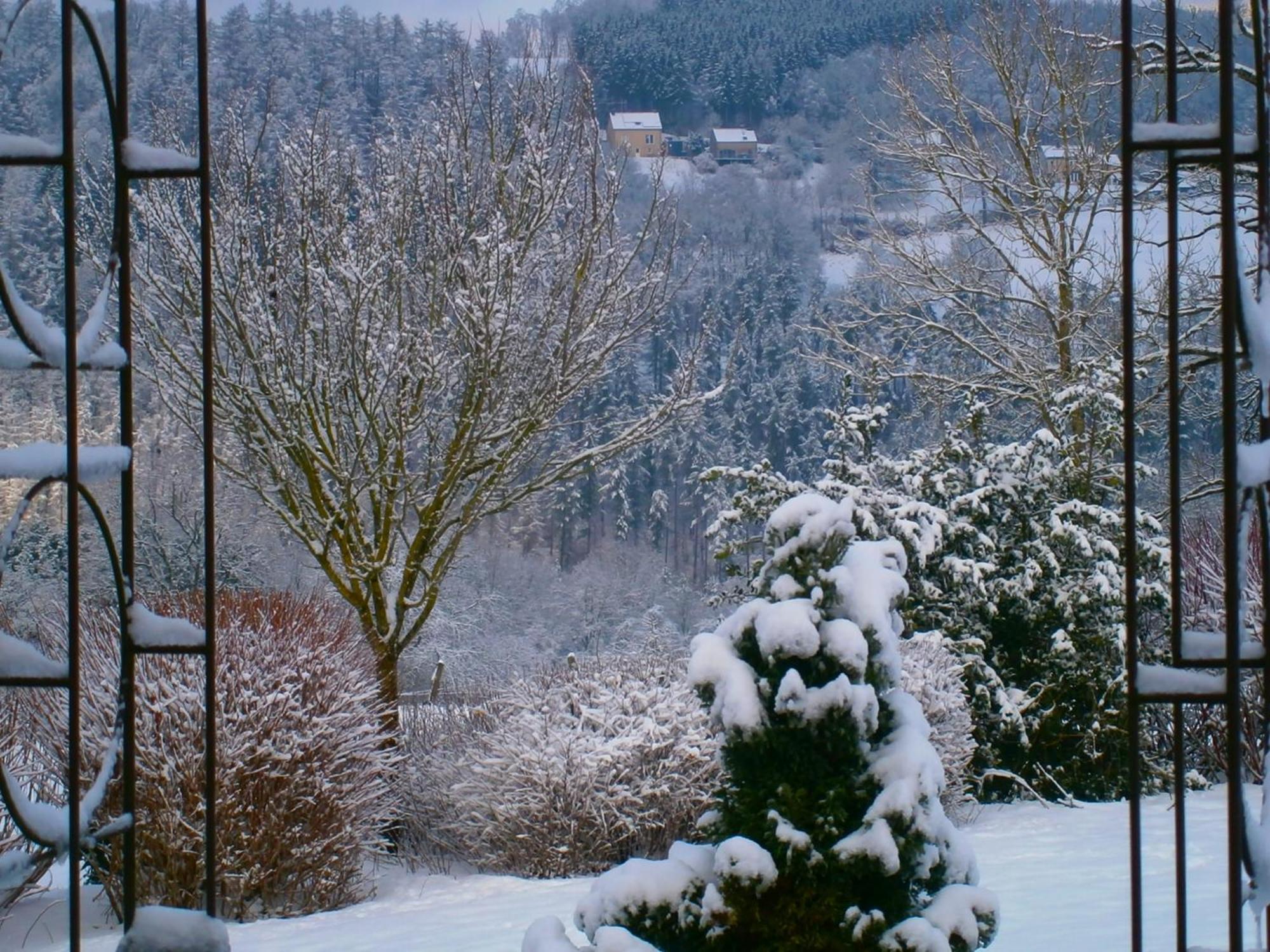 Le Renard'Or Bed & Breakfast Trois-Ponts Dış mekan fotoğraf
