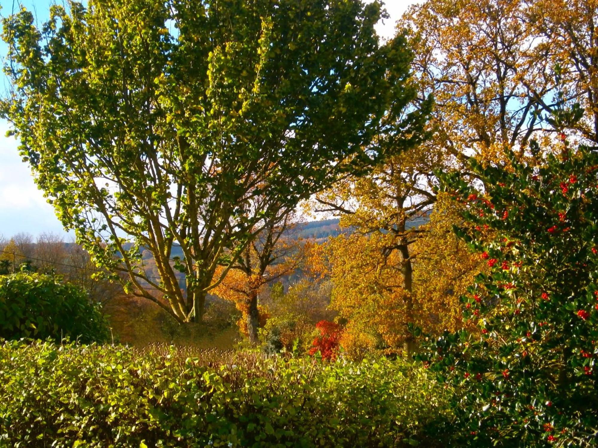 Le Renard'Or Bed & Breakfast Trois-Ponts Dış mekan fotoğraf