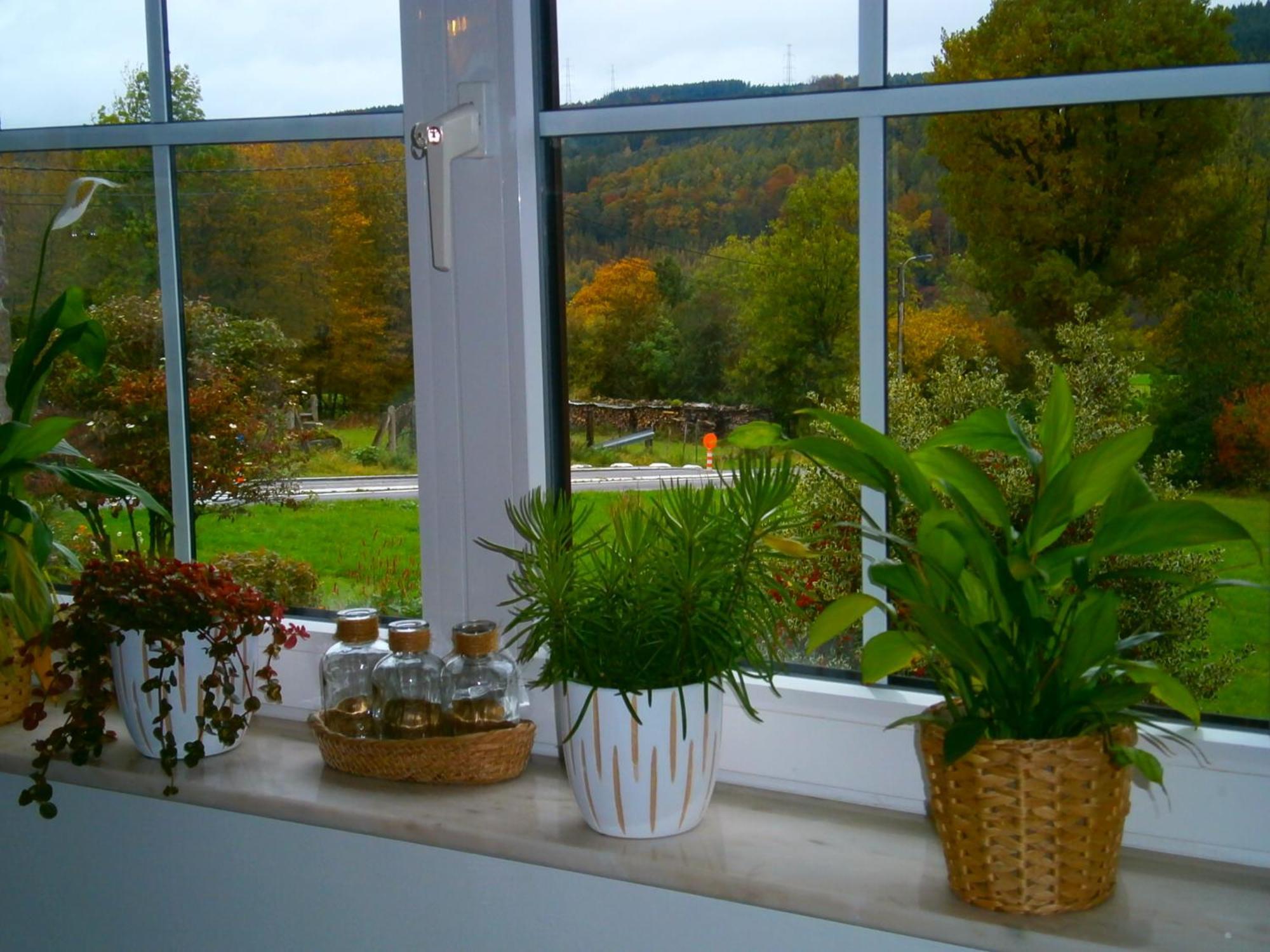 Le Renard'Or Bed & Breakfast Trois-Ponts Dış mekan fotoğraf