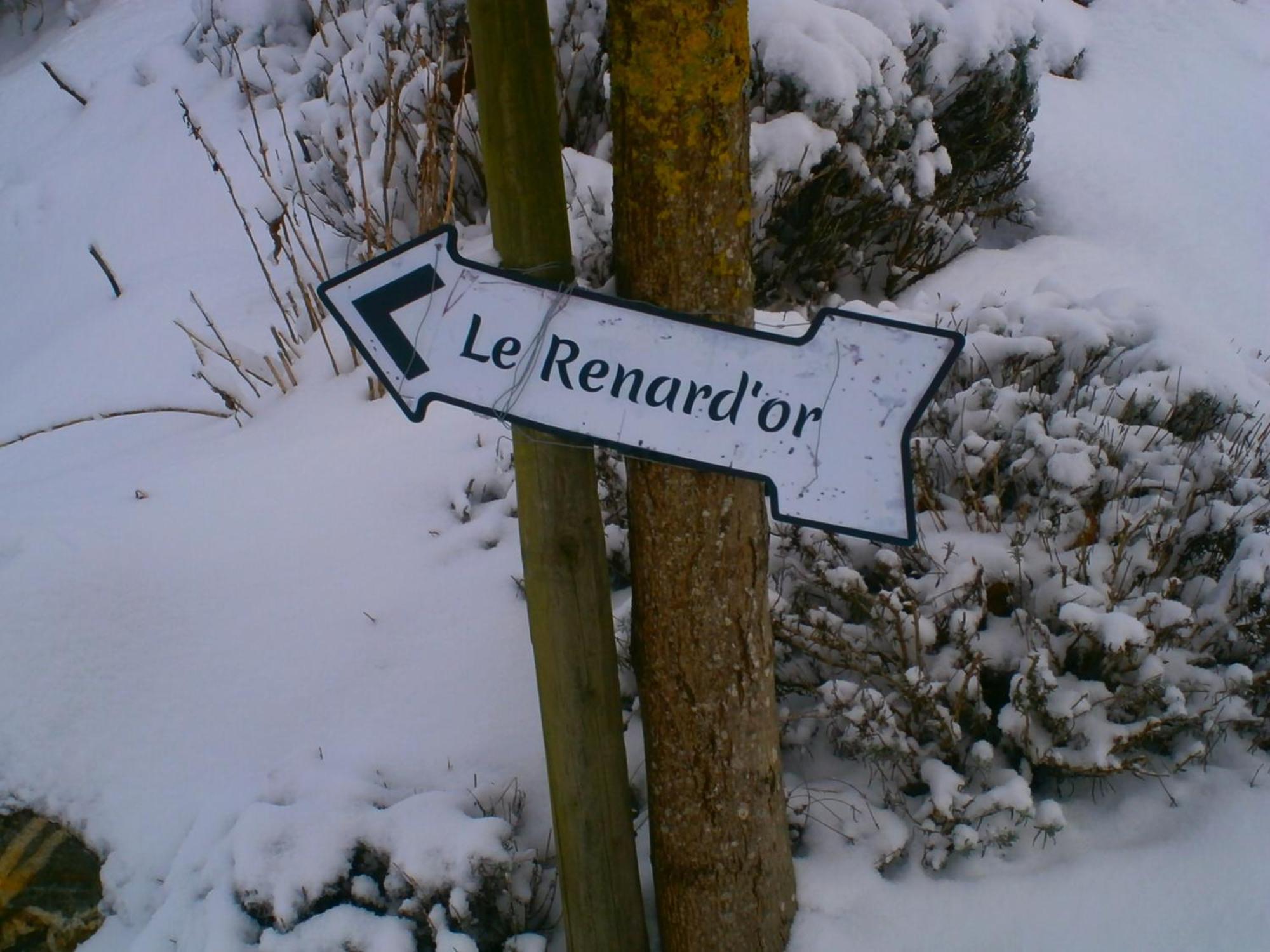Le Renard'Or Bed & Breakfast Trois-Ponts Dış mekan fotoğraf