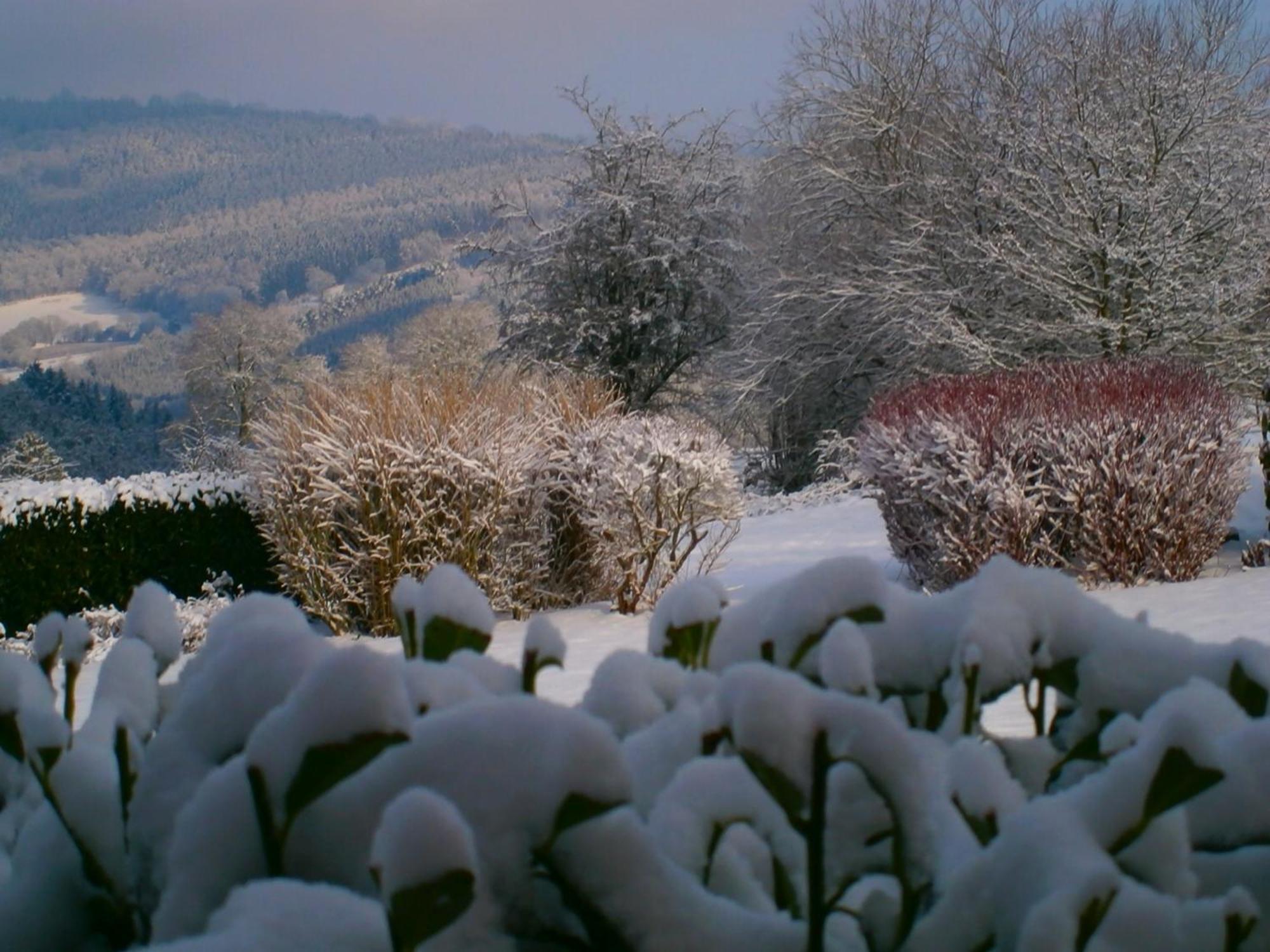 Le Renard'Or Bed & Breakfast Trois-Ponts Dış mekan fotoğraf
